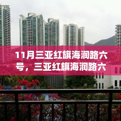 三亚红旗海润路六号在11月的独特魅力与争议热议