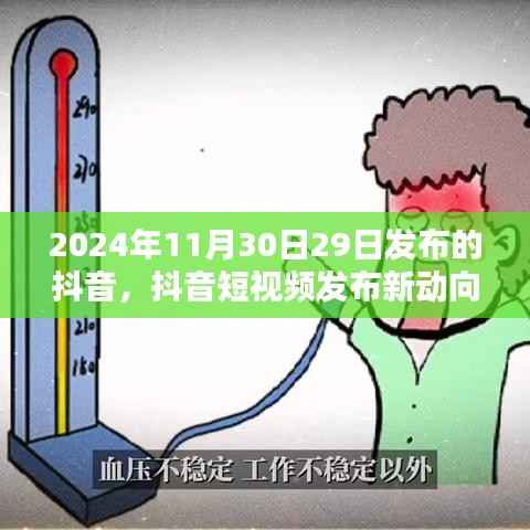 2024年11月抖音短视频运营策略解析与观点探讨，新动向与运营策略揭秘