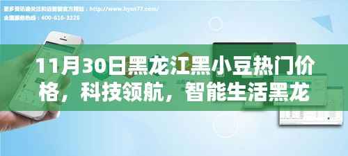 黑龙江黑小豆热门价格升级,科技领航,引领智能生活新潮流!