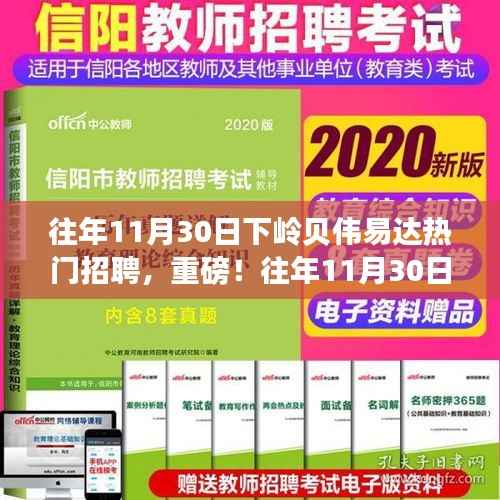 往年11月30日下岭贝伟易达热门招聘全解析,职场未来的关键在这里!