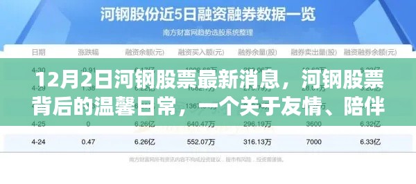 河钢股票最新动态,友情、陪伴与爱的温馨日常故事(12月2日)
