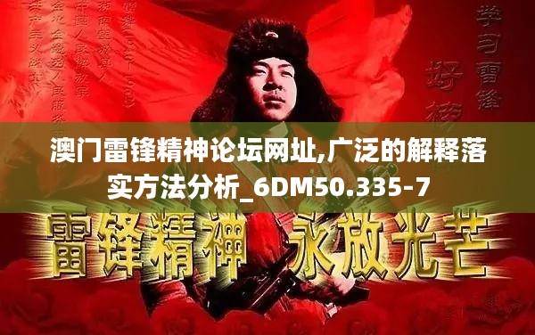 澳门雷锋精神论坛网址,广泛的解释落实方法分析_6DM50.335-7