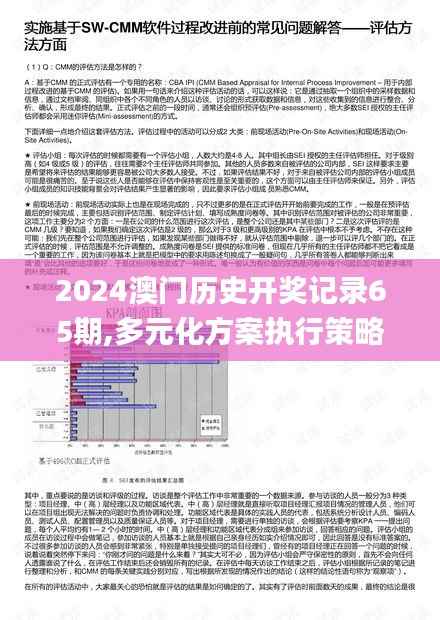 2024澳门历史开奖记录65期,多元化方案执行策略_VR18.310-7