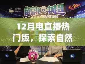 12月电直播热门版，自然美景之旅，探寻内心的宁静与平和