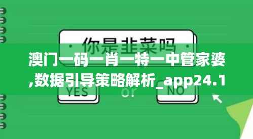 澳门一码一肖一特一中管家婆,数据引导策略解析_app24.125-3