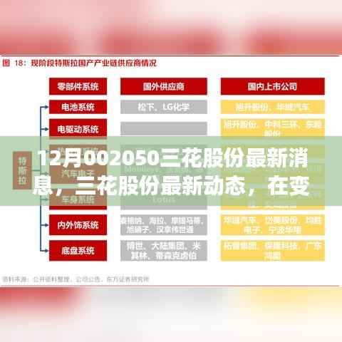 三花股份变革动态,最新消息与绽放光彩的十二月展望