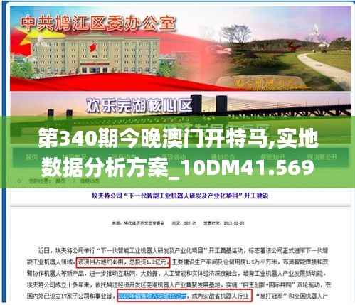 第340期今晚澳门开特马,实地数据分析方案_10DM41.569-9