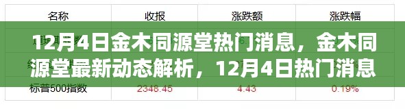 12月4日金木同源堂最新动态及热门消息解析