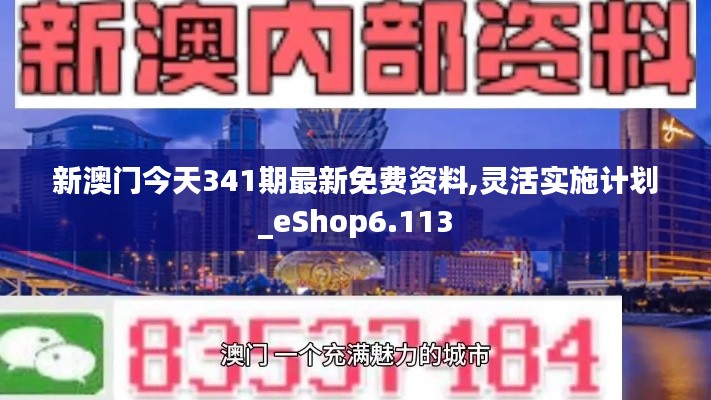 新澳门今天341期最新免费资料,灵活实施计划_eShop6.113