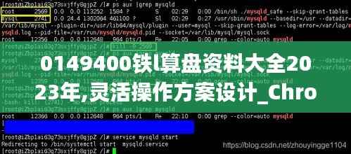 0149400铁l算盘资料大全2023年,灵活操作方案设计_Chromebook10.321