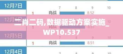 二肖二码,数据驱动方案实施_WP10.537