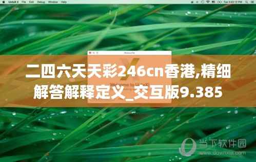 二四六天天彩246cn香港,精细解答解释定义_交互版9.385