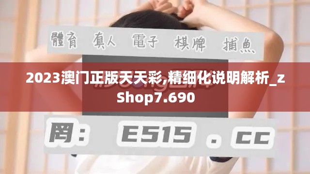 2023澳门正版天天彩,精细化说明解析_zShop7.690