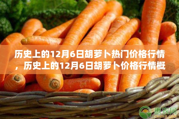 历史上的胡萝卜价格行情概览,聚焦12月6日的胡萝卜热门价格行情