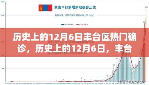 历史上的12月6日丰台区疫情深度剖析,确诊事件的回顾与反思