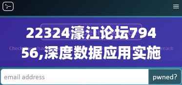 22324濠江论坛79456,深度数据应用实施_网页款8.366