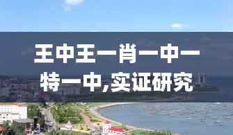 王中王一肖一中一特一中,实证研究解释定义_DX版8.277