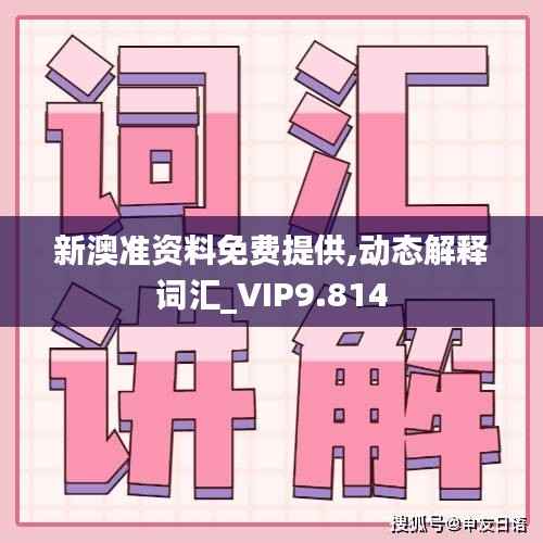新澳准资料免费提供,动态解释词汇_VIP9.814