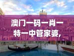 澳门一码一肖一特一中管家婆,实地解读说明_Phablet19.120