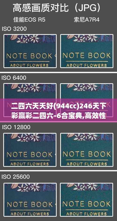 二四六天天好(944cc)246天下彩赢彩二四六-6合宝典,高效性计划实施_挑战款4.905