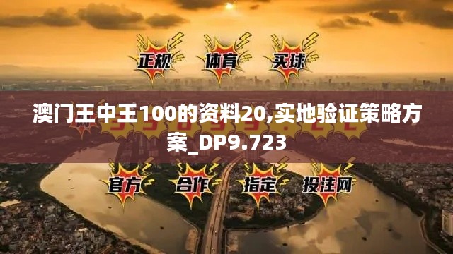 澳门王中王100的资料20,实地验证策略方案_DP9.723