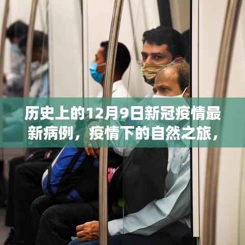 历史上的十二月九日,疫情下的自然探险与内心平静的奇妙之旅见证奇迹时刻