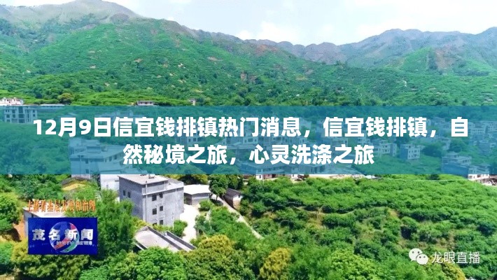 信宜钱排镇，自然秘境的心灵洗涤之旅热门消息揭秘