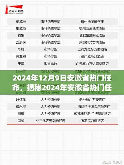揭秘2024年安徽省热门任命，产品特性、用户体验与目标用户全面解读