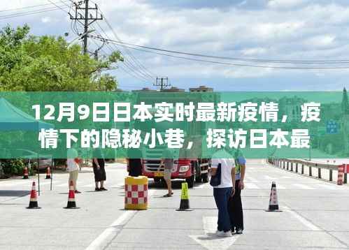 探访日本最新疫情下特色小店，隐秘小巷中的故事与防疫进展观察（实时更新）