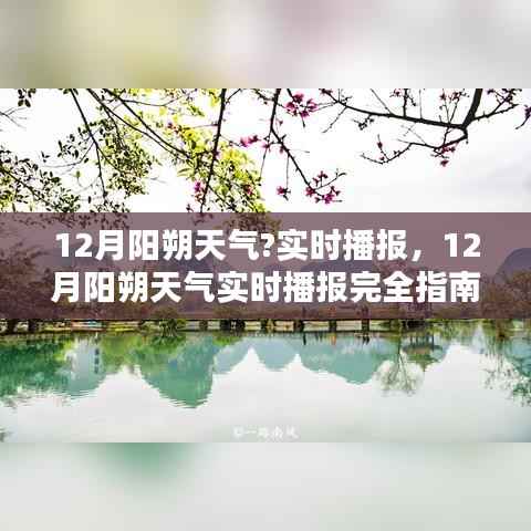 12月阳朔天气实时播报完全指南,从新手到进阶用户的天气查询攻略