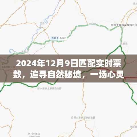 追寻自然秘境的心灵之旅,2024年12月9日票数奇迹启程