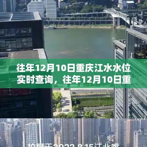 往年12月10日重庆江水水位实时查询系统评测与介绍深度解析