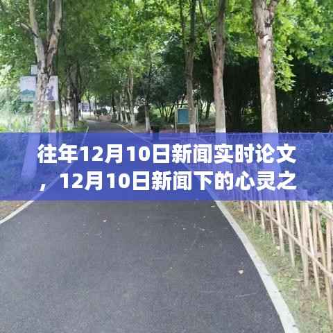 探索自然美景的心灵之旅，12月10日新闻下的艺术与生活