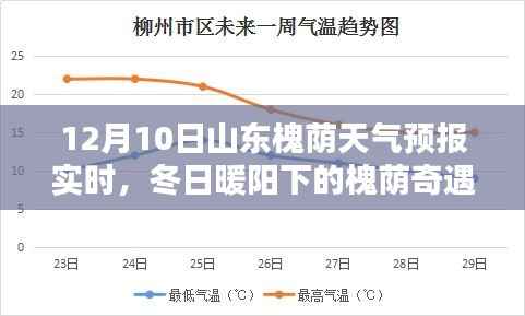 山东槐荫冬日暖阳天气预报,与友情共融的奇遇日