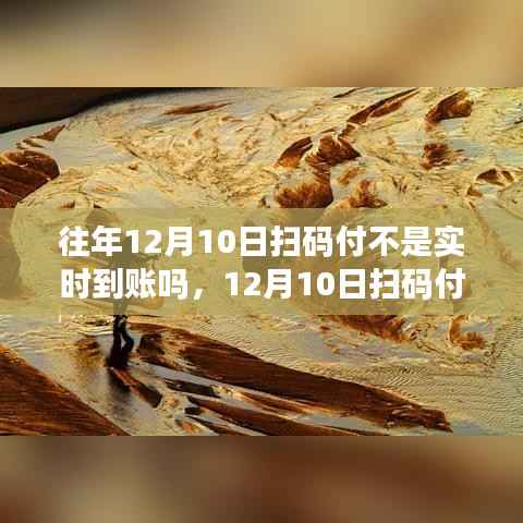 揭秘扫码支付背后的故事,一场自然美景的心灵之旅