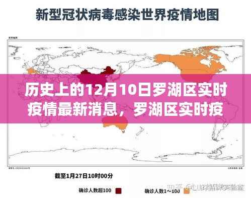 罗湖区疫情实时更新，历史与当前数据查询指南（12月10日版）