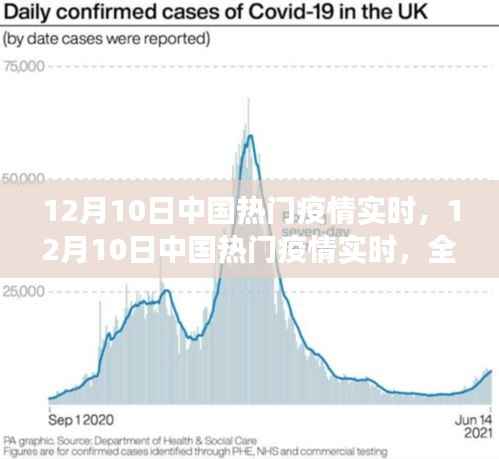 独家解析，中国疫情实时动态与洞察