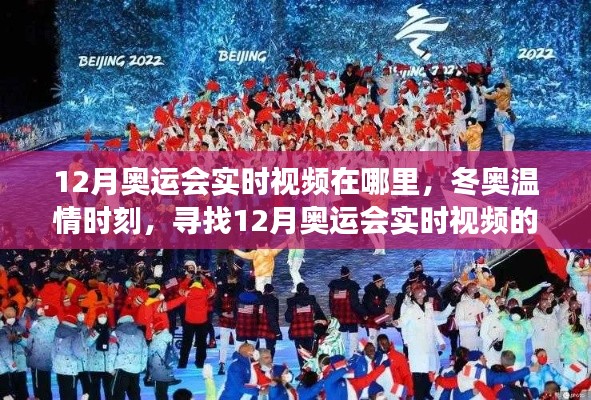 探寻冬奥温情时刻,实时视频回顾十二月的奥运奇妙之旅