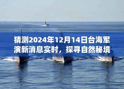 成功案例 第311页