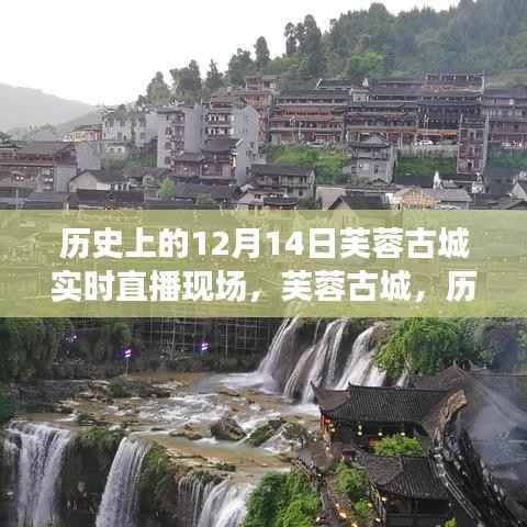 芙蓉古城直播盛典,历史中的12月14日纪实直播回顾