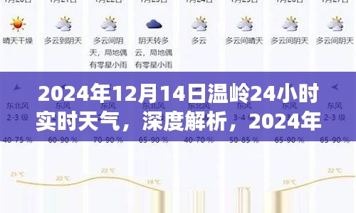 独家解析,2024年12月14日温岭市全天候天气深度影响与个人观点