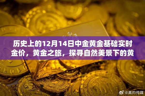 黄金之旅,探寻自然美景下的金价与内心宁静——历史上的黄金基础实时金价回顾(12月14日)