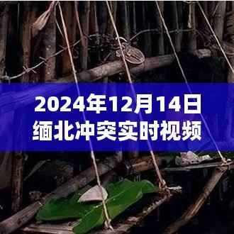 揭秘缅北冲突,实时视频记录紧张局势与深度解析(最新更新)