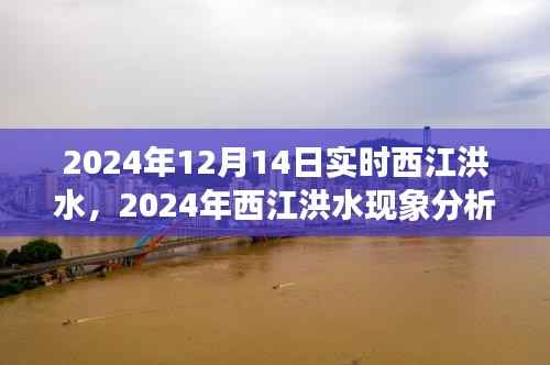 西江洪水现象分析,多方观点碰撞与个人立场下的洪水观察与思考