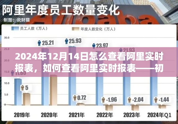 阿里实时报表查看指南,初学者与进阶用户的详细教程(2024年12月14日版)