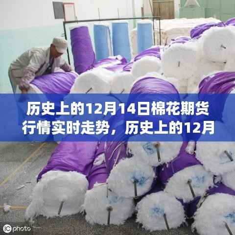 历史上的12月14日棉花期货行情深度解析,实时走势分析与解读指南(初学者与进阶用户必备参考)