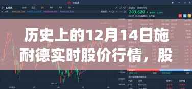 施耐德股价行情回顾，历史12月14日的股市风云与难忘记忆