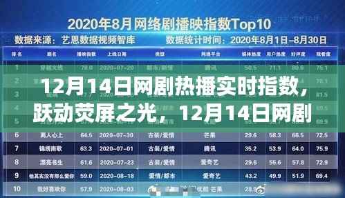 12月14日网剧热播背后的励志故事与成长力量,荧屏之光实时指数揭秘