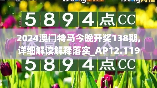 2024澳门特马今晚开奖138期,详细解读解释落实_AP12.119