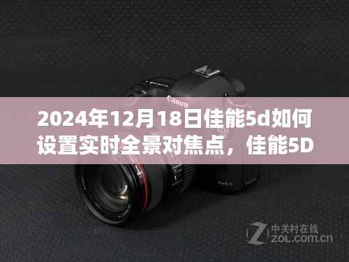佳能5D系列相机实时全景对焦点设置技术指导(2024年最新版)